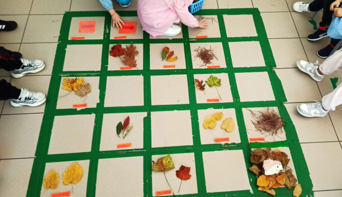 Coding e botanica: caccia alla foglia giusta!